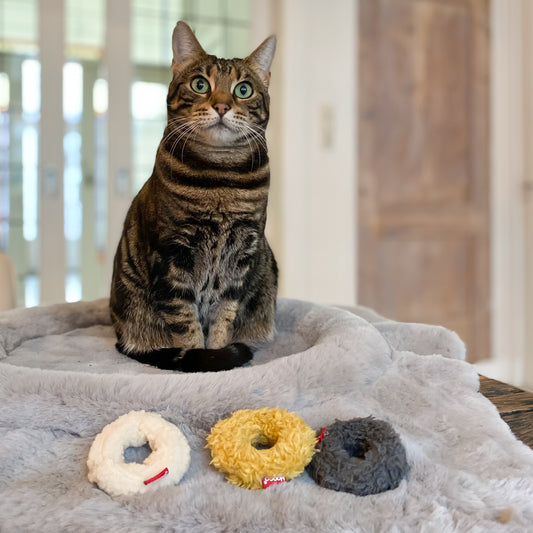 Mini Donuts Cat Toy Set