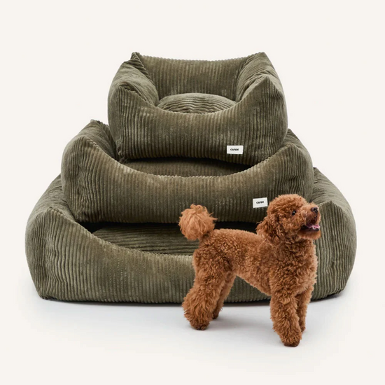 Snozy-peti, vihreä vakosametti