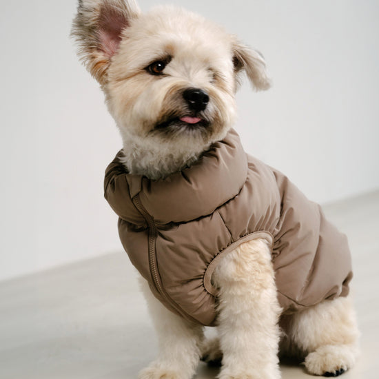 CushyCushy koiran puffer liivi