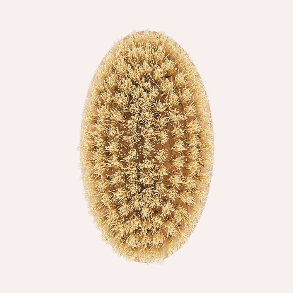 CAFIDE Teo-harja lyhytkarvaiselle koiralle