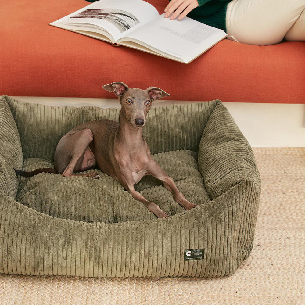 Snozy-peti, vihreä vakosametti