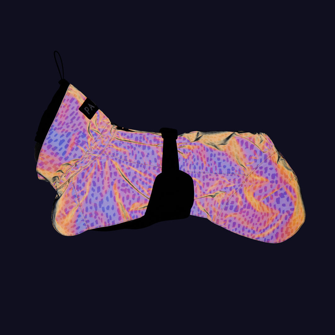 PAIKKA pilkullinen hohtava ja heijastava sadetakki koiralle