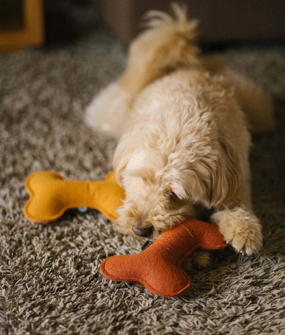 CAFIDE Play koiran leluluu, terracotta
