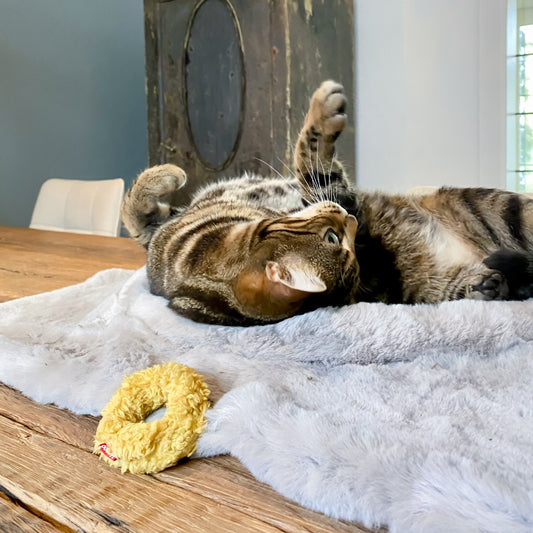 Mini Donuts Cat Toy Set