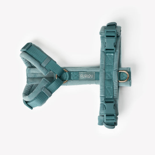 Furlou koiran Y-valjaat, turkoosi