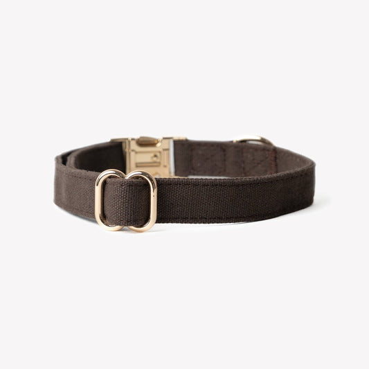 Canvas dog collar, brown