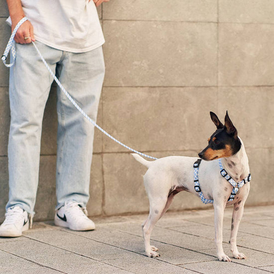 Juno -kierrätetty PET talutin, Vichy Blue