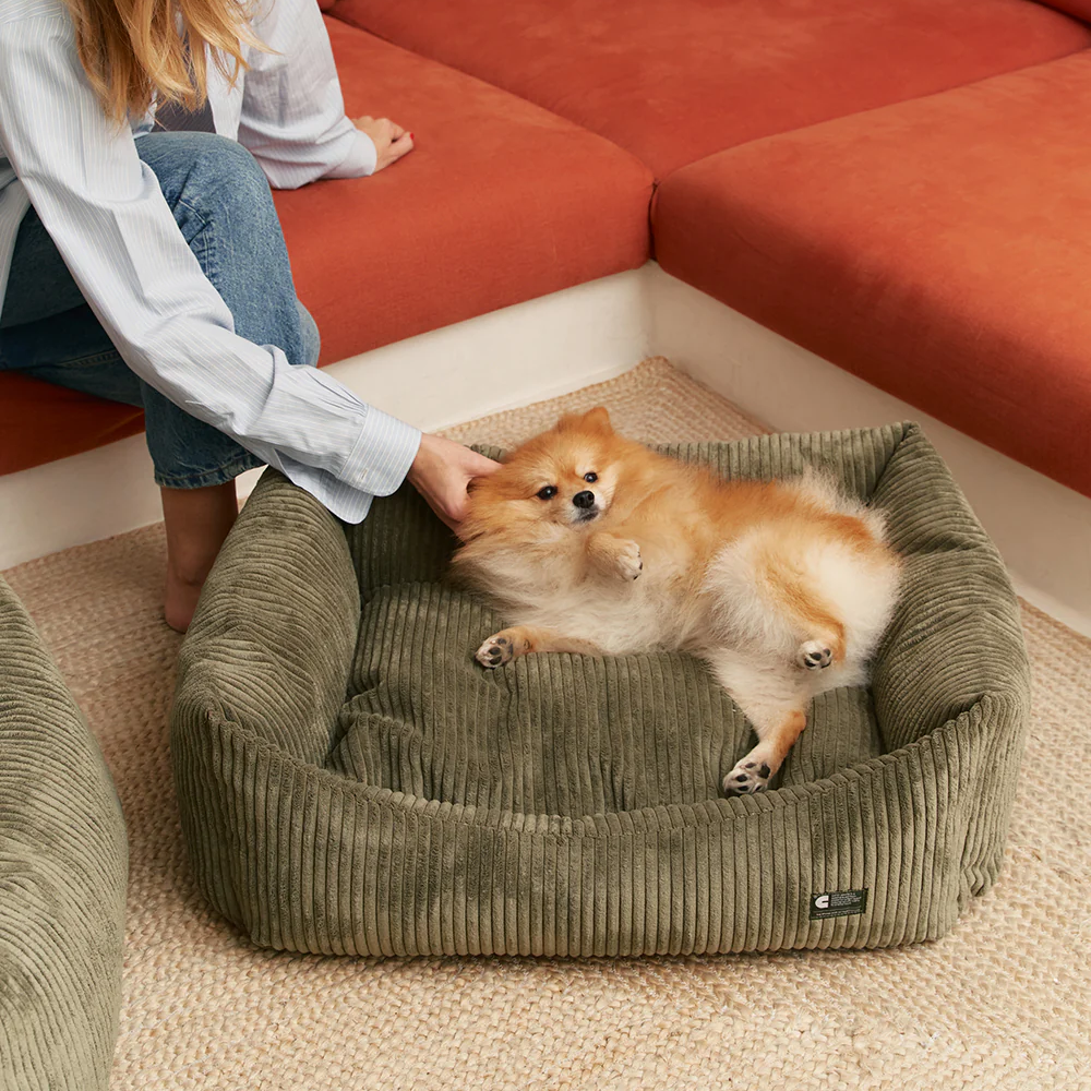 Snozy-peti, vihreä vakosametti