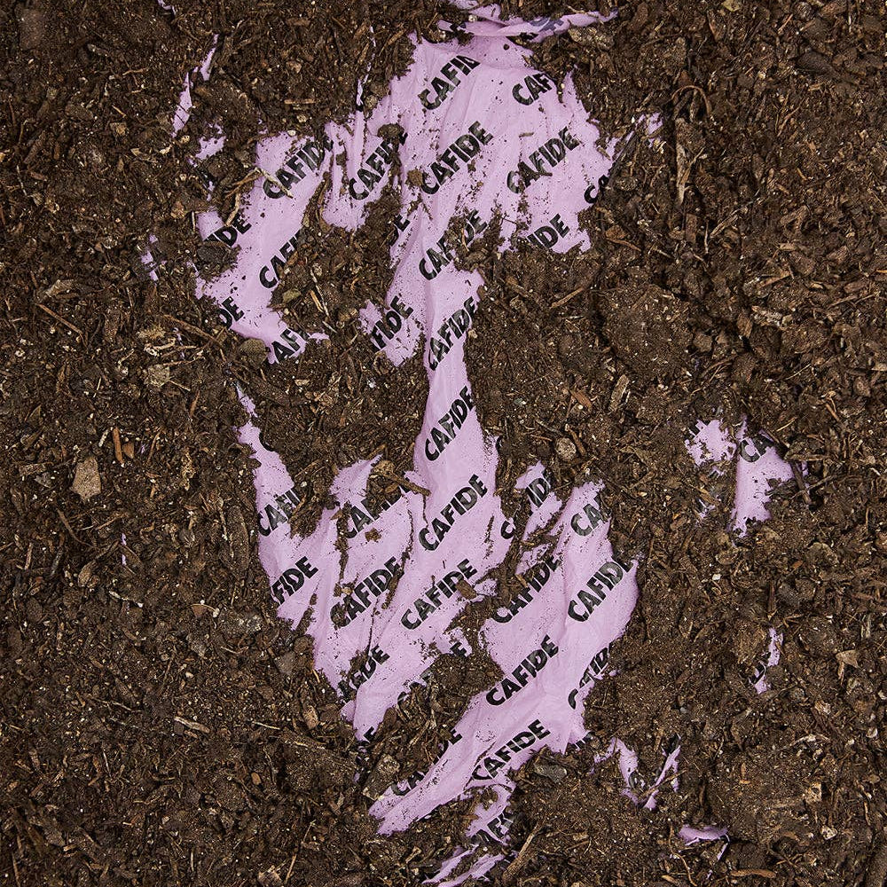 Lea-koirankakkapussit, laventeli