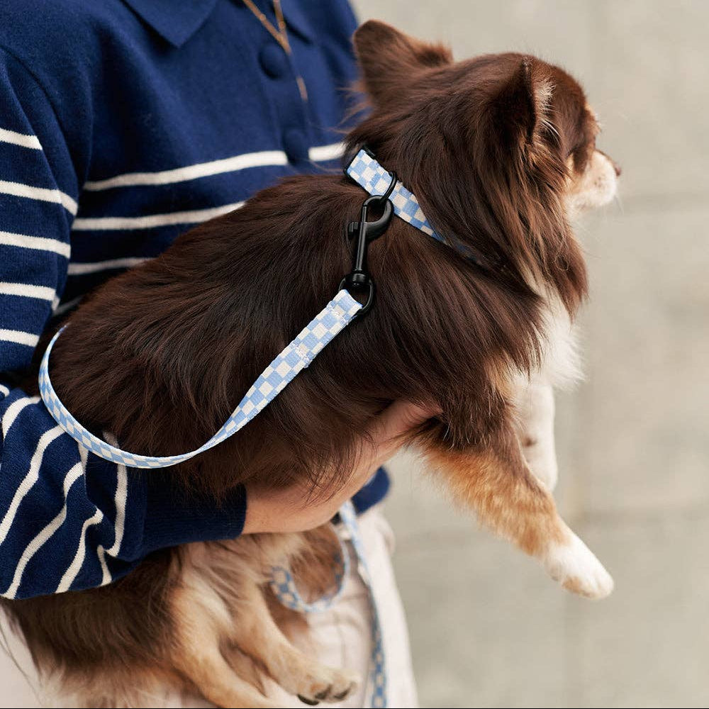 CAFIDE Juno-kierrätetty PET kaulapanta, Blue Vichy