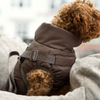 Vera dog winter coat with harness, chestnut