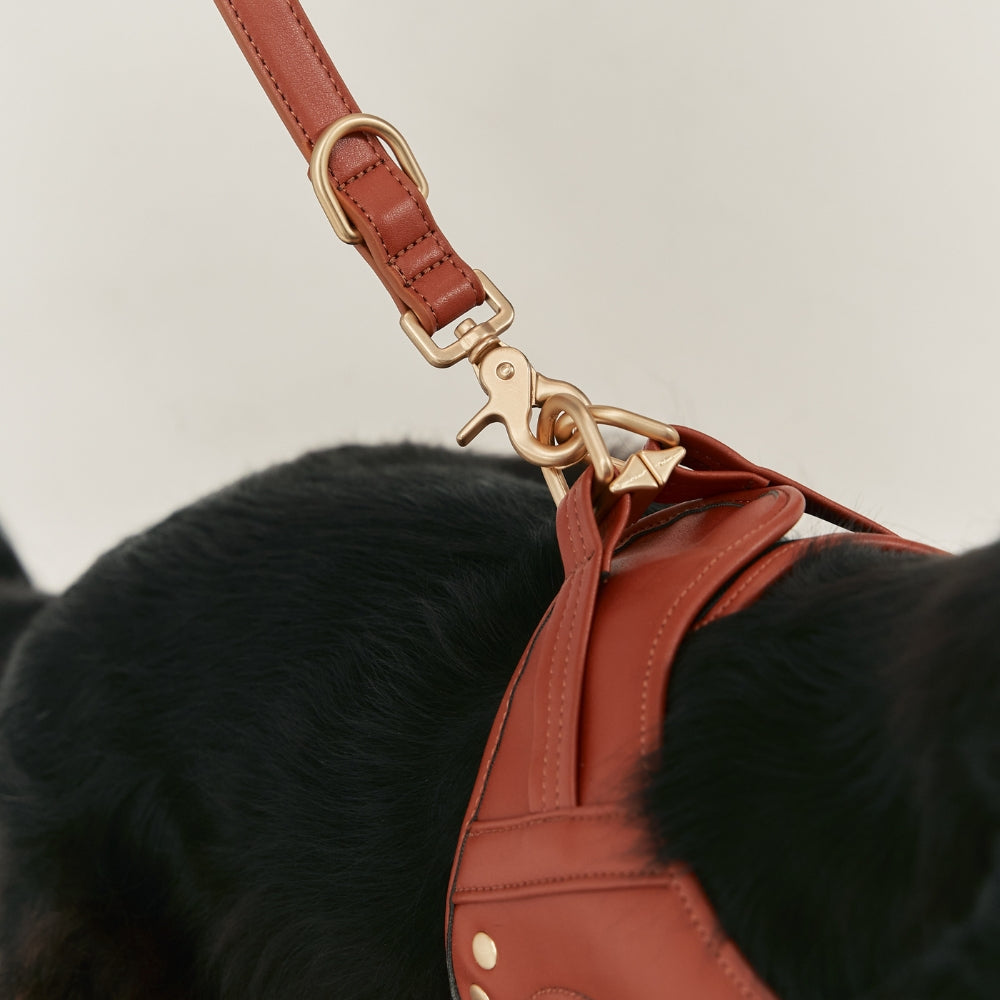 CAFIDE Jala-talutin koiralle, ruskea