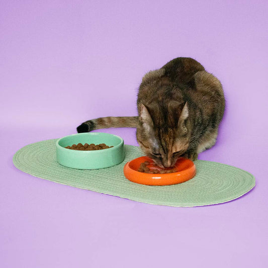 Funky Feeding -ruoka- ja juomakuppi, oranssi ja vihreä