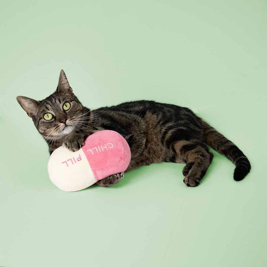 Chill Pill -kissan lelu