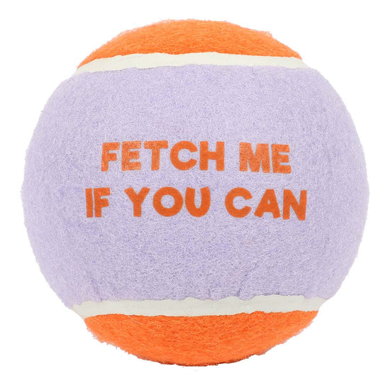 Fetch Me -tennispallo XL