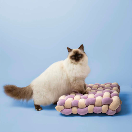 Makoilualusta, lila-beige