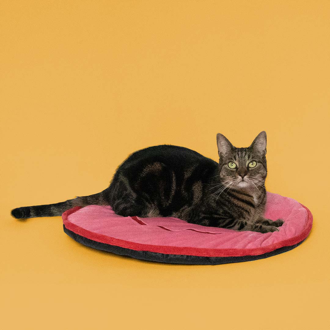 Big Smile -makoilualusta, pinkki