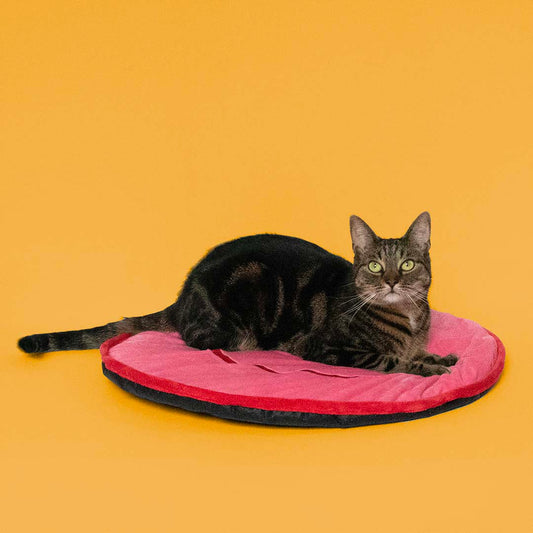 Big Smile -makoilualusta, pinkki