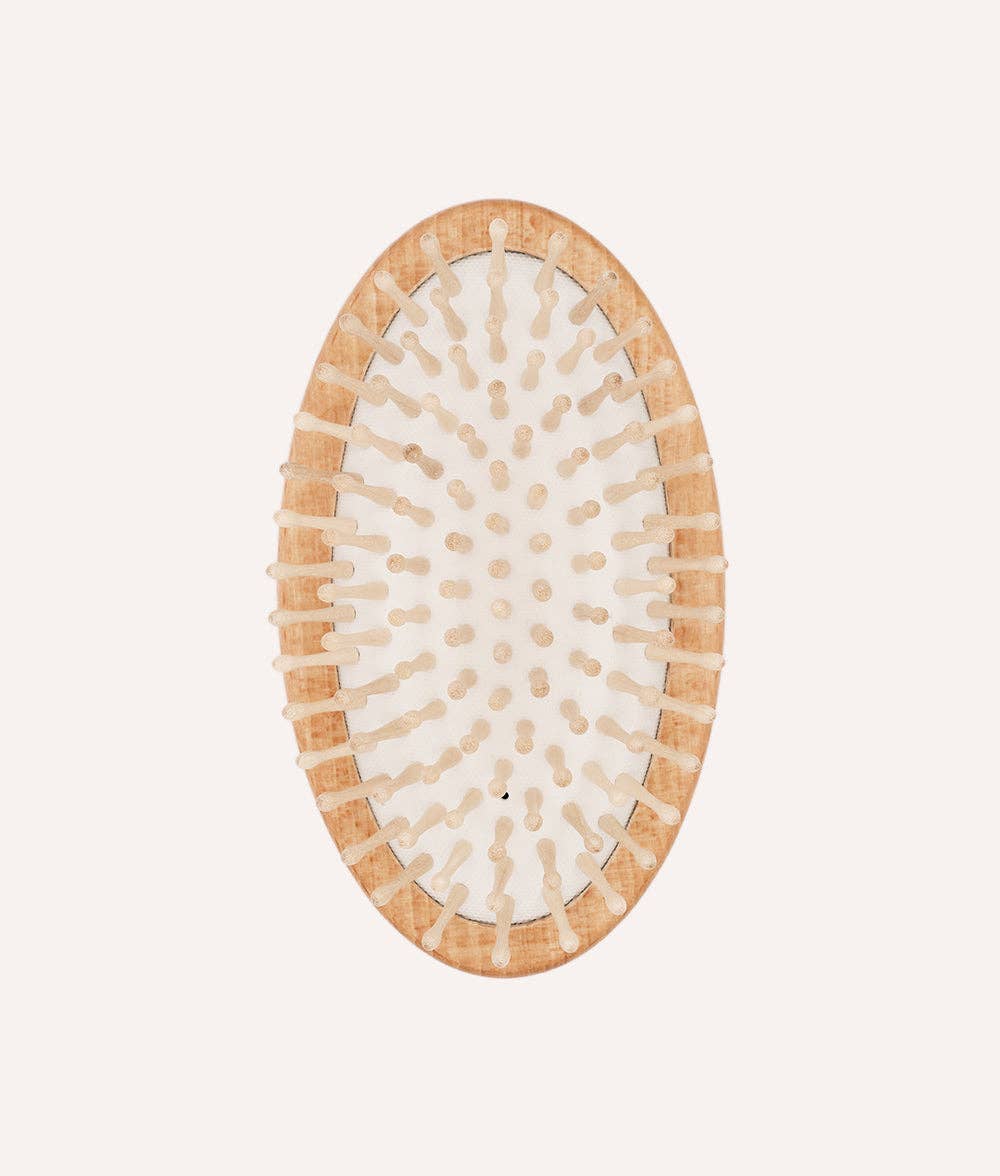 CAFIDE Teo hierova harja koiralle