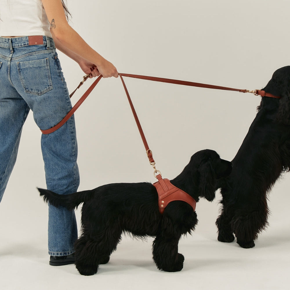 CAFIDE Jala-valjaat koiralle, ruskea