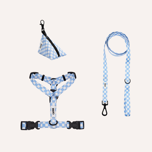Juno-lenkkisetti, Vichy Blue