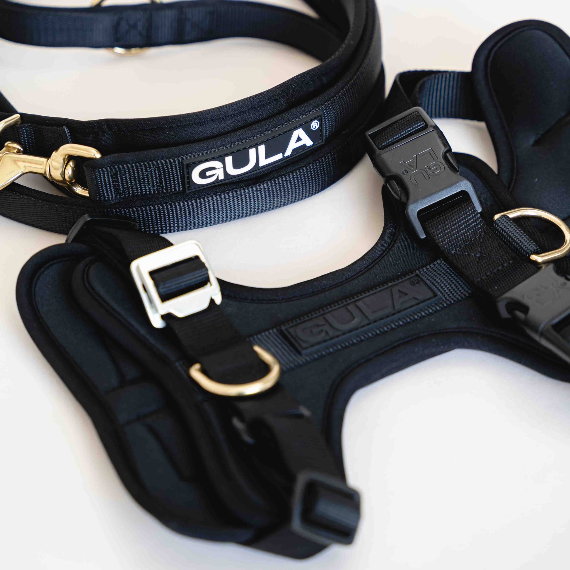 GULA koiran mustat valjaat