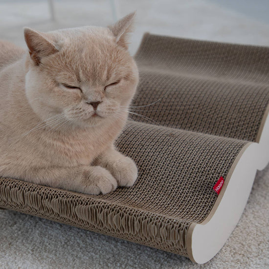 Moustache-raapimakaluste