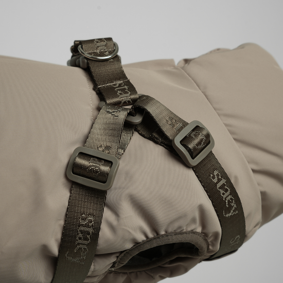 Staey Vera -koiran talvitakki valjailla, hiekka