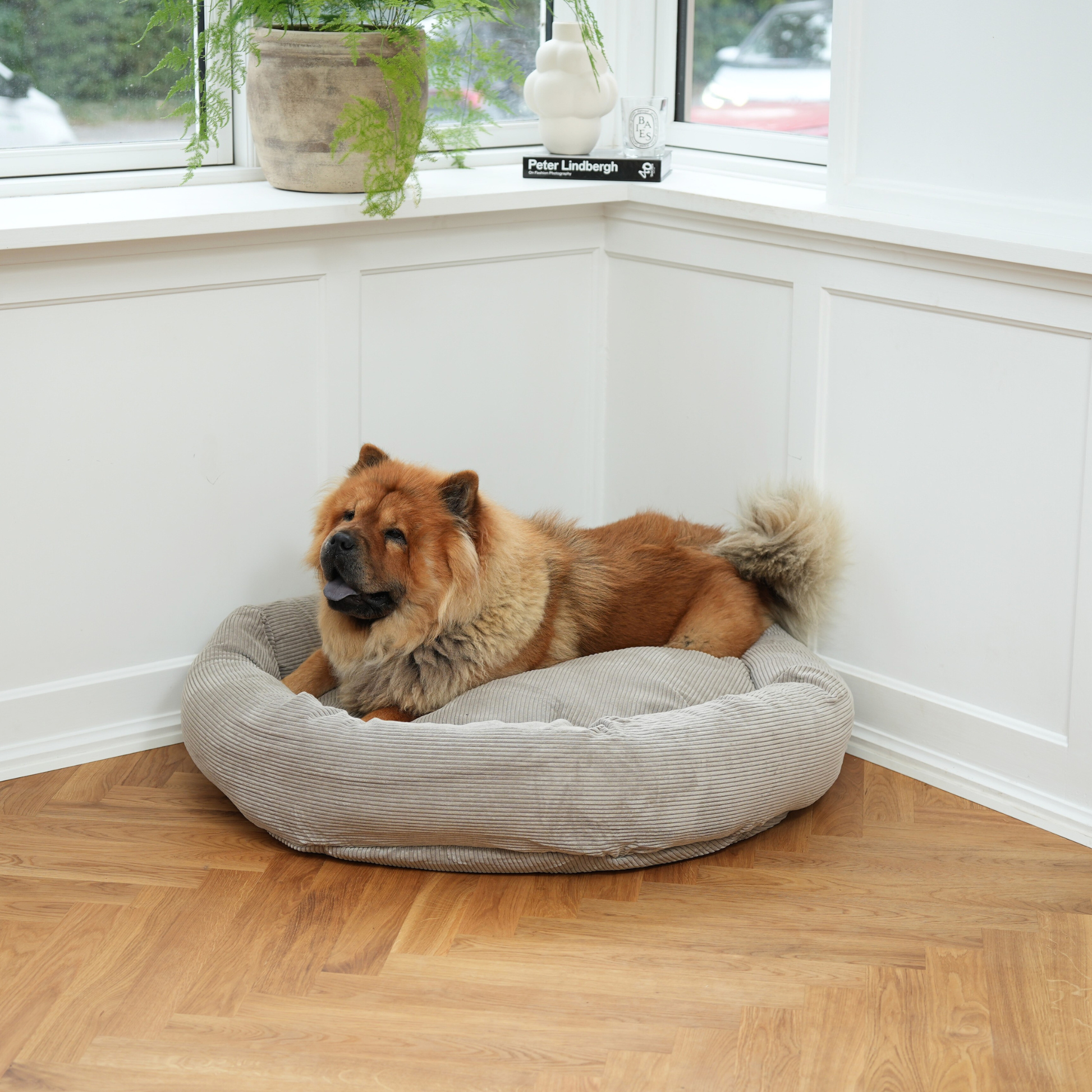 Luna Dog Bed 3.0 | Dune Corduroy