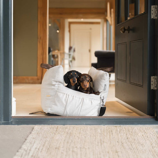 Matkustuskassi koiralle, vaaleanharmaa