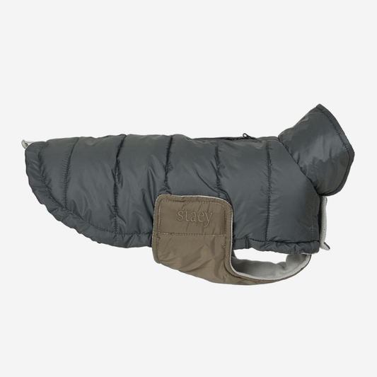 Nora dog winter coat, storm