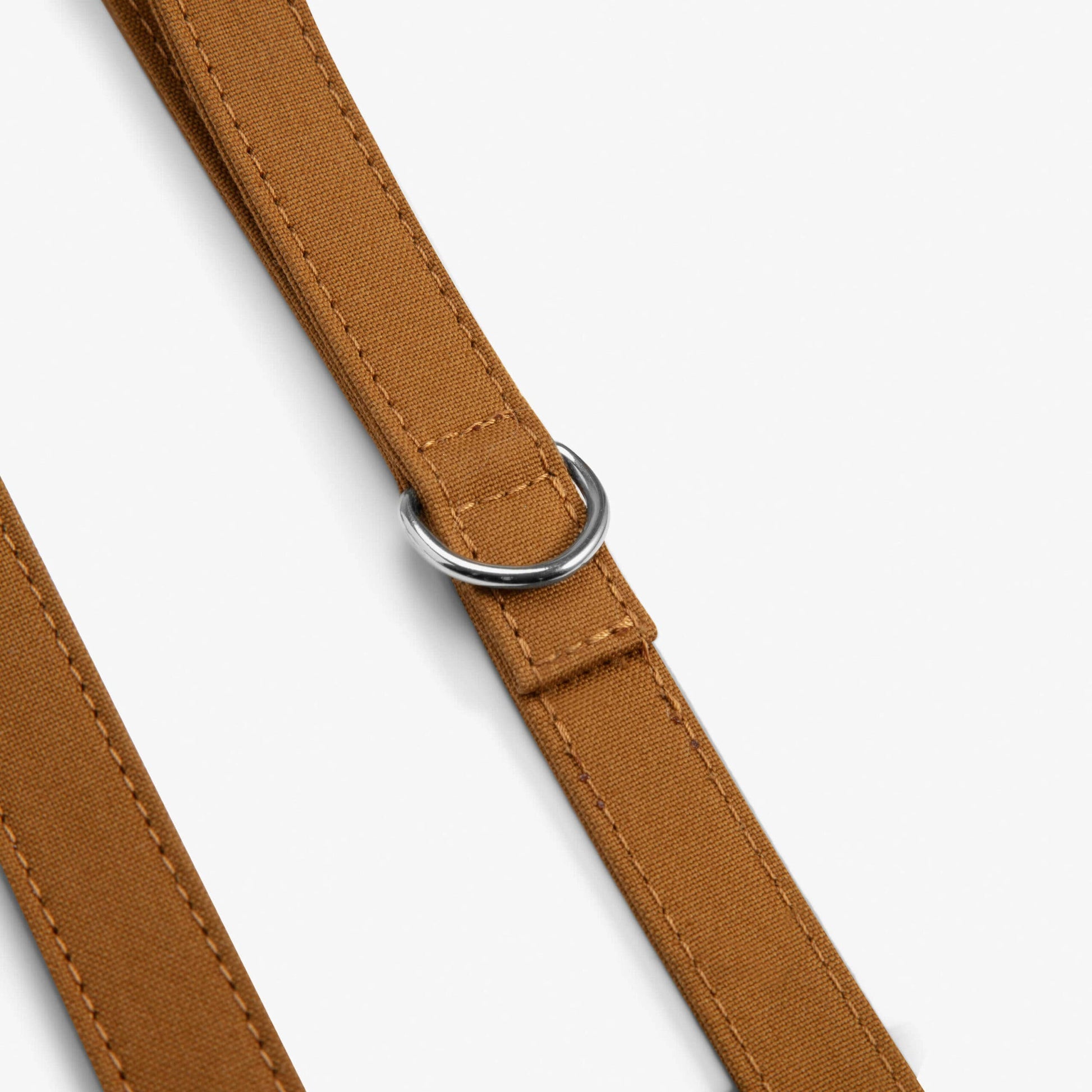 Signature Go -koiran hihna, sinappi