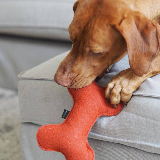 CAFIDE Play koiran leluluu, terracotta