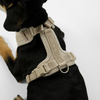 Numa Dog Harness | Oat by Staey