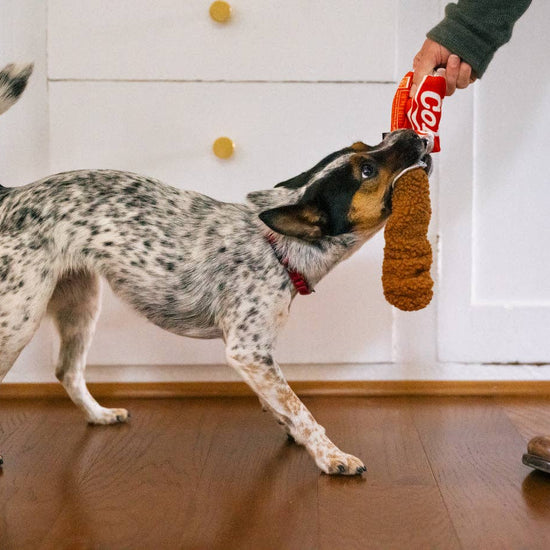 Good Boy Cola -koiran lelu