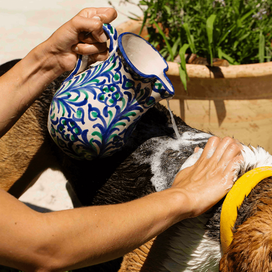 Hellävarainen koiran shampoo