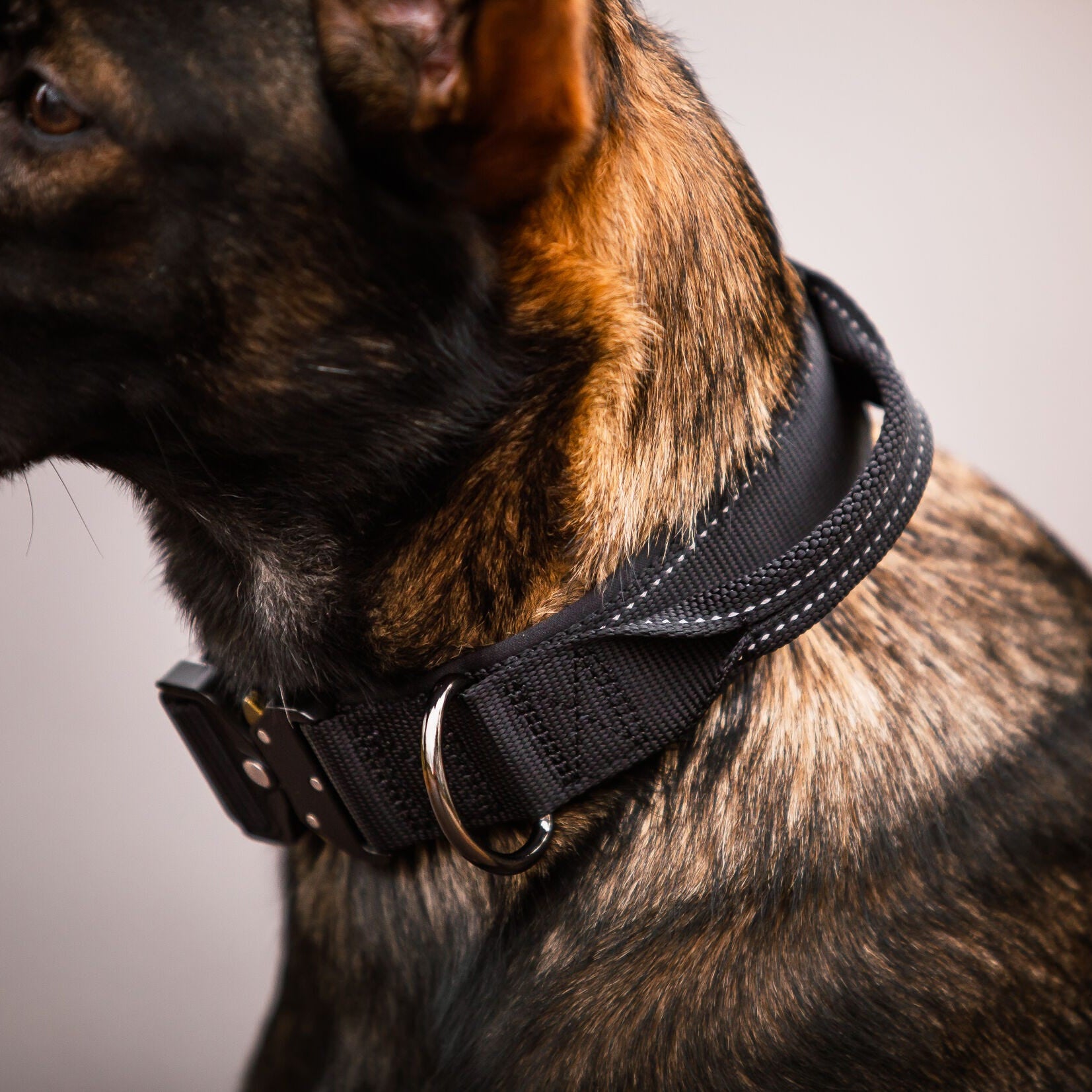 Rukka Pets Mission Collar – tukeva kahvapanta isolle koiralle