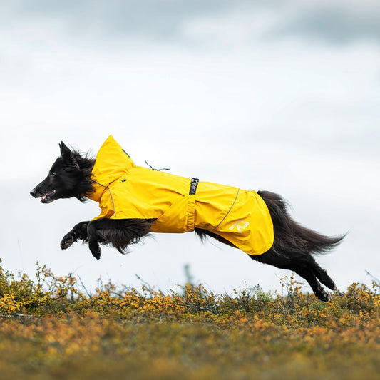 Rukka Pets Hayton – Keltainen sadetakki koiralle