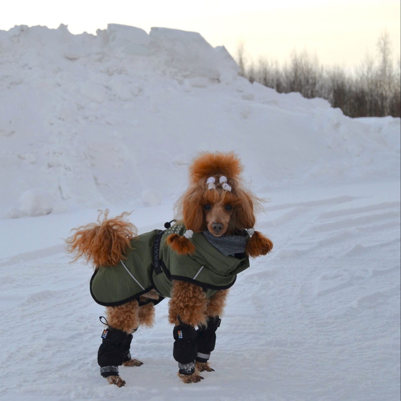 Rukka Pets Warmup 2.0 Coat – Oliivinvihreä talvitakki koiralle 