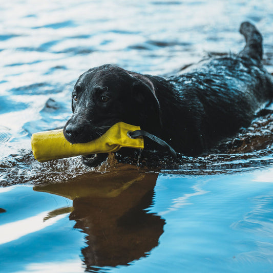 Rukka Pets Training Dummy – Noutokoulutusväline koiralle