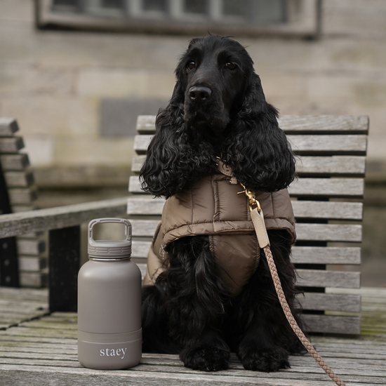 Noona 2-in-1 -koiran juomapullo