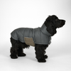 Nora dog winter coat, storm