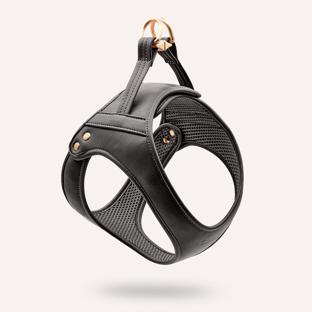 CAFIDE Jala-valjaat koiralle, musta