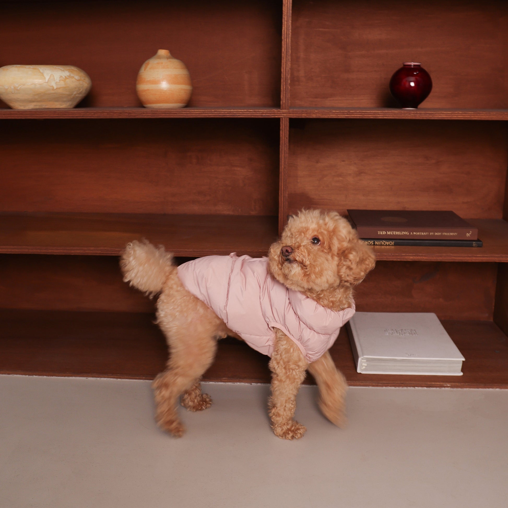 CushyCushy Puffer vest koiralle