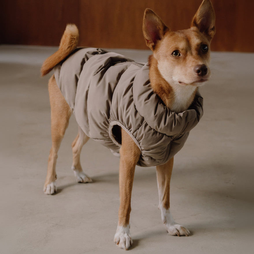 CushyCushy koiran puffer liivi