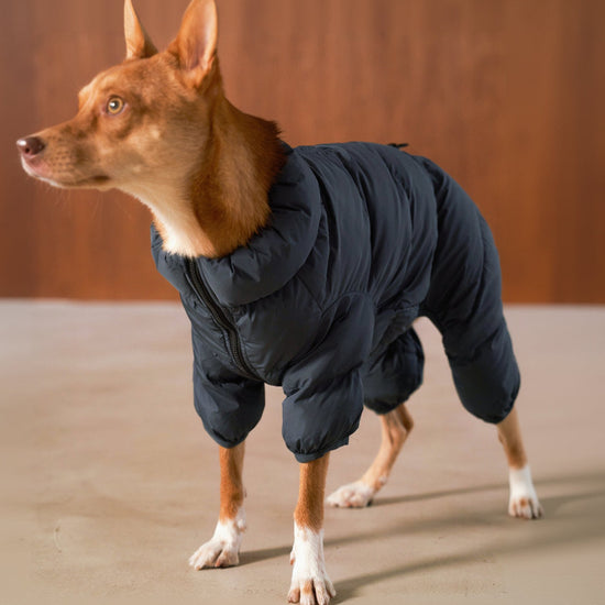 Cushy Puffer Onesie blue moon