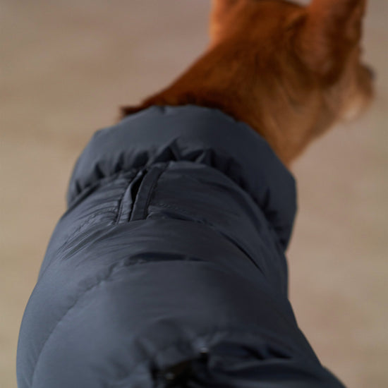 CushyCushy musta koiran puffer haalari