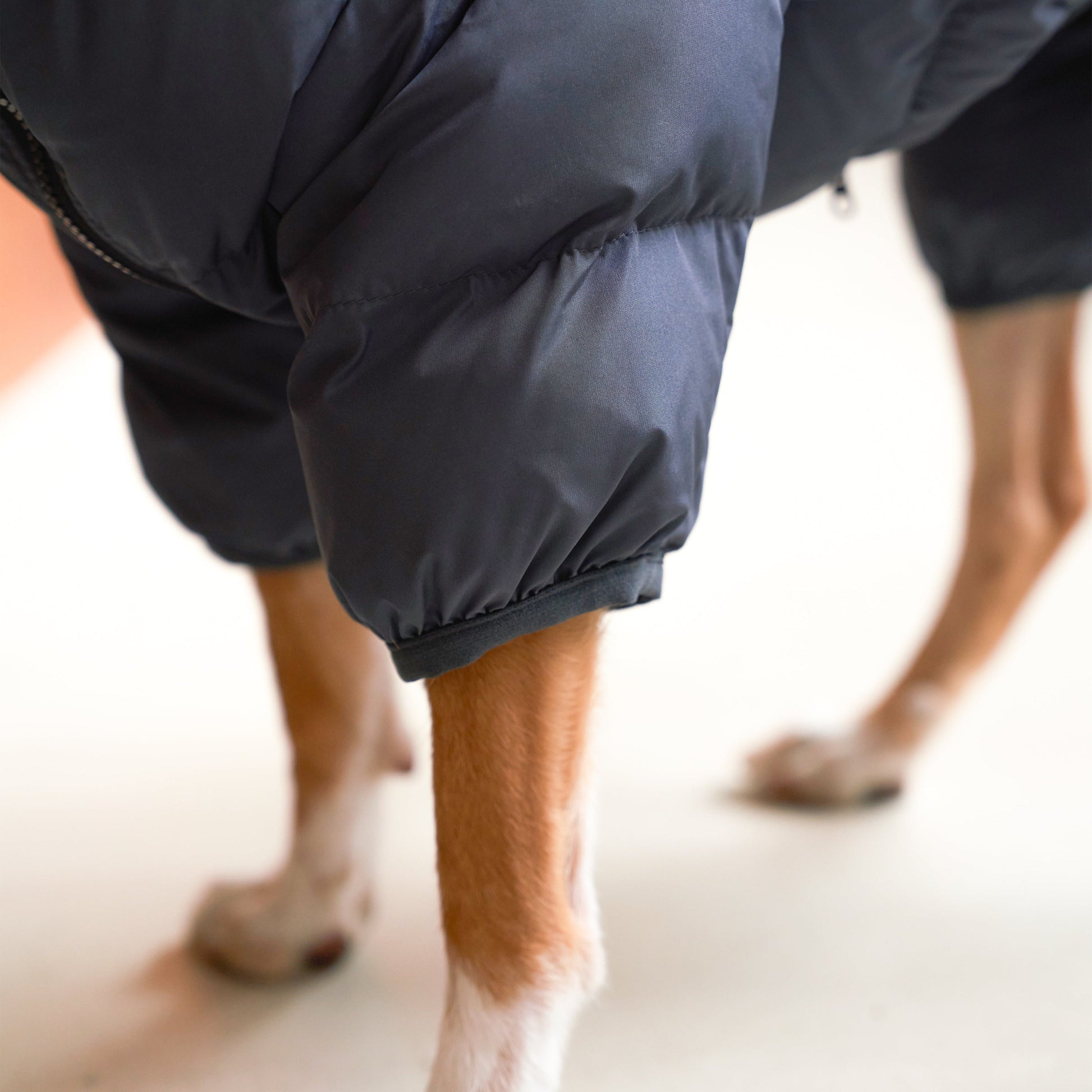 CushyCushy musta koiran puffer haalari