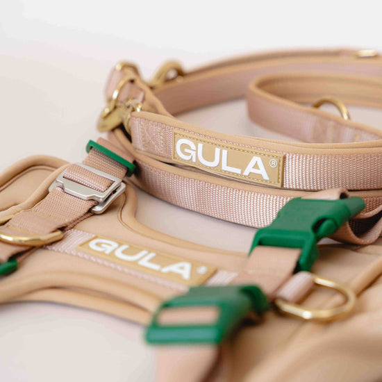 GULA koiran talutushihna