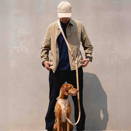 GULA koiran talutushihna hands-free